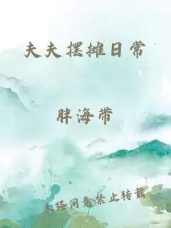 夫夫摆摊日常