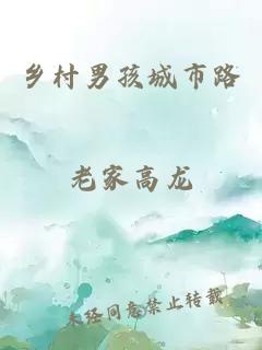 乡村男孩城市路