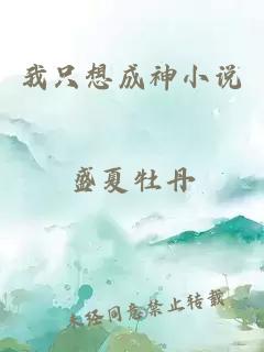 我只想成神小说