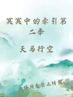 冥冥中的牵引第二季