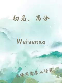 初见，离分