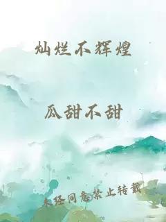 灿烂不辉煌